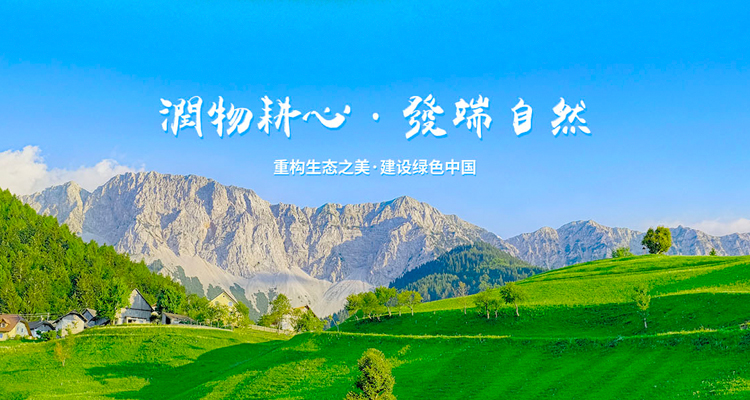 手机首页banner（700*450）