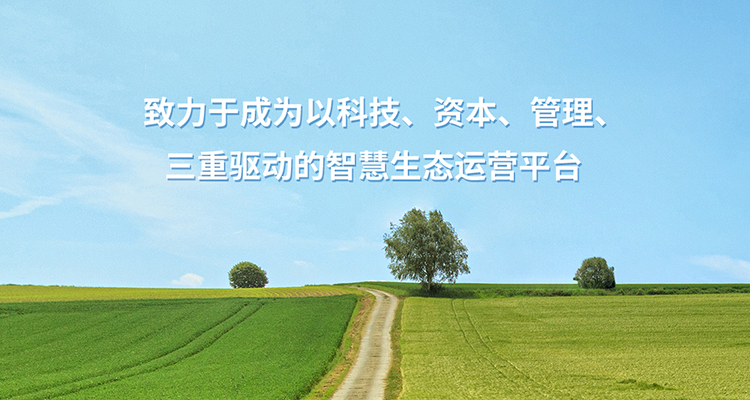 手机首页banner（700*450）